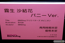 第11回 ネイティブグループ合同展示会（エロホビ） エロ フィギュア キャストオフ BINDing 黒見沢香織 うるりひ  17