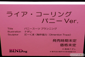 第11回 ネイティブグループ合同展示会（エロホビ） エロ フィギュア キャストオフ BINDing 黒見沢香織 うるりひ  34
