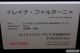 第11回 ネイティブグループ合同展示会（エロホビ） エロ フィギュア キャストオフ HOTVENUS 02