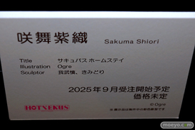 第11回 ネイティブグループ合同展示会（エロホビ） エロ フィギュア キャストオフ HOTVENUS 21