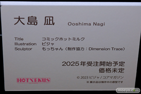 第11回 ネイティブグループ合同展示会（エロホビ） エロ フィギュア キャストオフ HOTVENUS 25