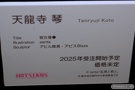 第11回 ネイティブグループ合同展示会（エロホビ） エロ フィギュア キャストオフ HOTVENUS 31