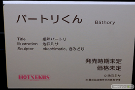 第11回 ネイティブグループ合同展示会（エロホビ） エロ フィギュア キャストオフ HOTVENUS 35