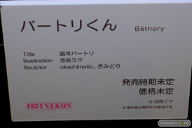第11回 ネイティブグループ合同展示会（エロホビ） エロ フィギュア キャストオフ HOTVENUS 39