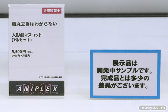 Fate/Grand Order Fes. 2025 ～10th Anniversary～ フィギュア アニプレックス アルター フレア セガプライズ バンダイ KADOKAWA キューズQ 02