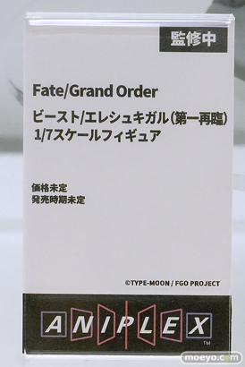 Fate/Grand Order Fes. 2025 ～10th Anniversary～ フィギュア アニプレックス アルター フレア セガプライズ バンダイ KADOKAWA キューズQ 06