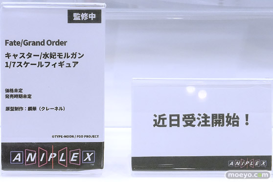 Fate/Grand Order Fes. 2025 ～10th Anniversary～ フィギュア アニプレックス アルター フレア セガプライズ バンダイ KADOKAWA キューズQ 09