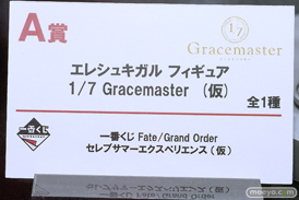Fate/Grand Order Fes. 2025 ～10th Anniversary～ フィギュア アワートレジャー ファット・カンパニー フリーイング メディコス・エンタテインメント グッドスマイルカンパニー 一番くじ 49