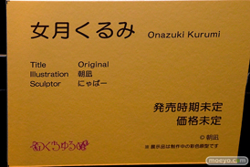 第11回 ネイティブグループ合同展示会（エロホビ） エロ フィギュア キャストオフ のくちゅるぬ ネイティブ HOTVENUS 04