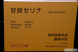 第11回 ネイティブグループ合同展示会（エロホビ） エロ フィギュア キャストオフ のくちゅるぬ ネイティブ HOTVENUS 13