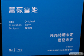 第11回 ネイティブグループ合同展示会（エロホビ） エロ フィギュア キャストオフ のくちゅるぬ ネイティブ HOTVENUS 20