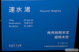 第11回 ネイティブグループ合同展示会（エロホビ） エロ フィギュア キャストオフ のくちゅるぬ ネイティブ HOTVENUS 24