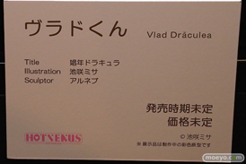 第11回 ネイティブグループ合同展示会（エロホビ） エロ フィギュア キャストオフ のくちゅるぬ ネイティブ HOTVENUS 28
