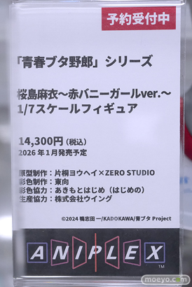 秋葉原の新作フィギュア展示の様子 あみあみラジオ会館　喜多川海夢 20