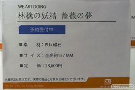 ワンダーフェスティバル2025 [夏]  フィギュアWeArtDoing メガハウス   16