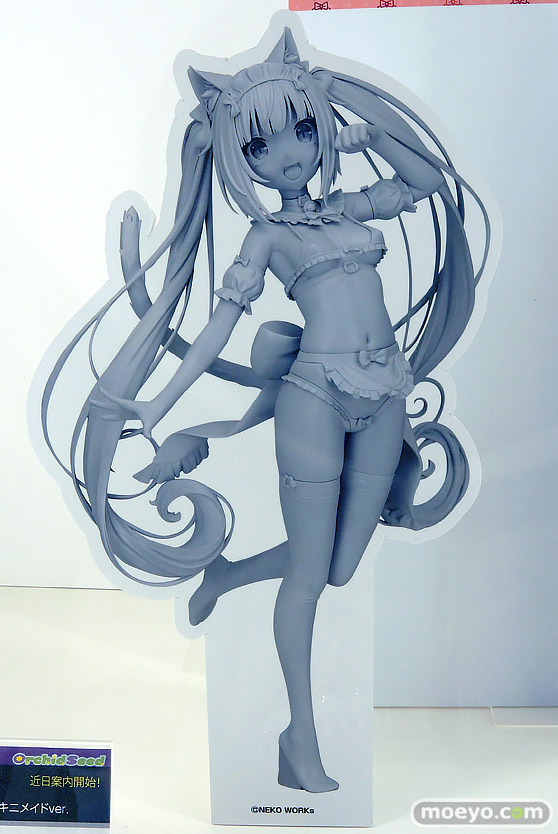 ワンダーフェスティバル2025 [夏]  フィギュア オーキッドシード フリュー 01