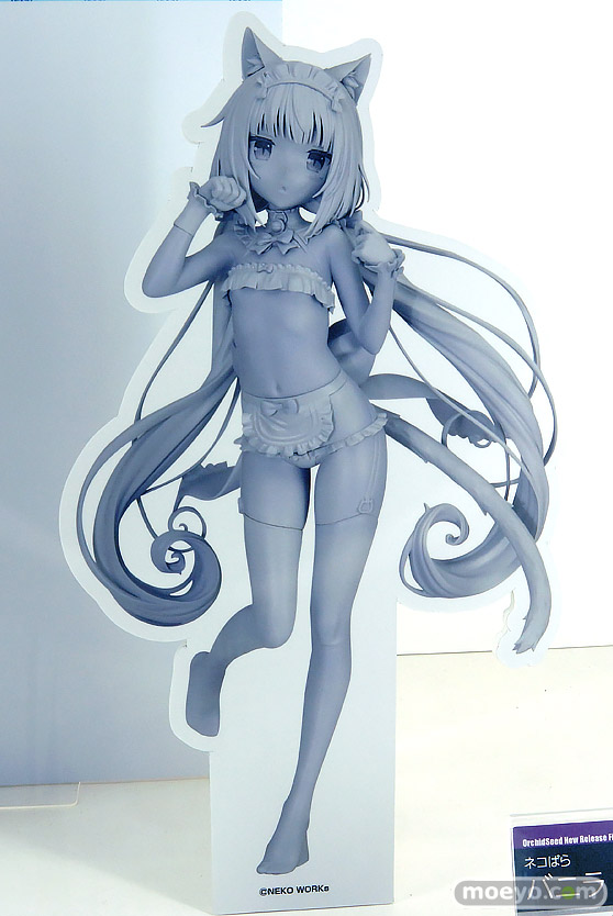 ワンダーフェスティバル2025 [夏]  フィギュア オーキッドシード フリュー 03