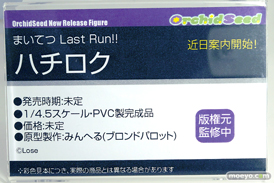 ワンダーフェスティバル2025 [夏]  フィギュア オーキッドシード フリュー 11