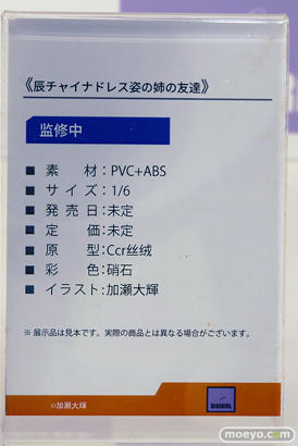 ワンダーフェスティバル2025 [夏]  フィギュア  DIGIGIRL ベルファイン 09