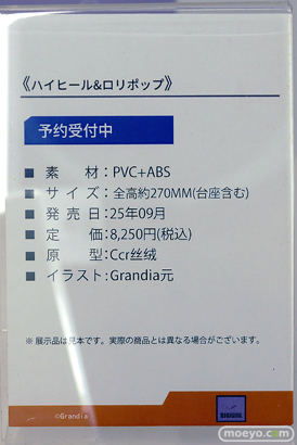 ワンダーフェスティバル2025 [夏]  フィギュア  DIGIGIRL ベルファイン 12