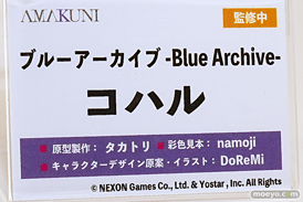 ワンダーフェスティバル2025 [夏]  フィギュア ホビージャパン AMAKUNI 26