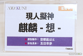 ワンダーフェスティバル2025 [夏]  フィギュア ホビージャパン AMAKUNI NIKKE  15