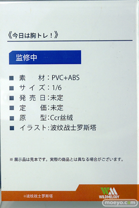 ワンダーフェスティバル2025 [夏]  フィギュア 千秋 WILD MELODY Otherwhere 11