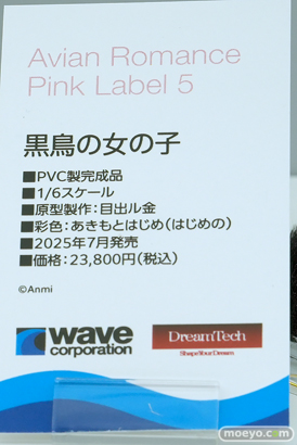 ワンダーフェスティバル2025 [夏]  フィギュア ウェーブ アイマス 47