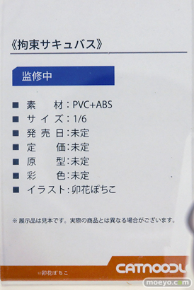 ワンダーフェスティバル2025 [夏]  フィギュア あみあみホビーキャンプ CatNoodle UMIKAWA-FIGURE MiraiMira 05