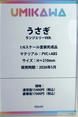 ワンダーフェスティバル2025 [夏]  フィギュア あみあみホビーキャンプ CatNoodle UMIKAWA-FIGURE MiraiMira 09