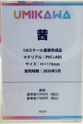 ワンダーフェスティバル2025 [夏]  フィギュア あみあみホビーキャンプ CatNoodle UMIKAWA-FIGURE MiraiMira 14