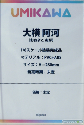 ワンダーフェスティバル2025 [夏]  フィギュア あみあみホビーキャンプ CatNoodle UMIKAWA-FIGURE MiraiMira 17