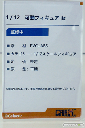 ワンダーフェスティバル2025 [夏]  フィギュア あみあみホビーキャンプ TriEagles Studio GALACTIC Raise Dream 17