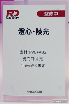 ワンダーフェスティバル2025 [夏]  フィギュア あみあみホビーキャンプ TriEagles Studio GALACTIC Raise Dream 30