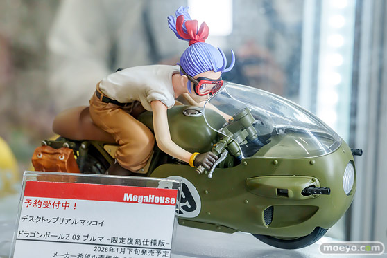 秋葉原の新作フィギュア展示の様子 あみあみ ヤーデ 24