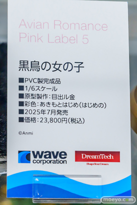 秋葉原の新作フィギュア展示の様子黒鳥の女の子   08