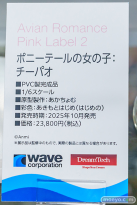 秋葉原の新作フィギュア展示の様子黒鳥の女の子   12