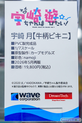 秋葉原の新作フィギュア展示の様子黒鳥の女の子   22