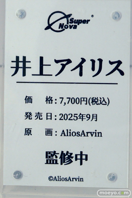ワンダーフェスティバル2025 [夏]  フィギュア あみあみホビーキャンプ BearPanda 09