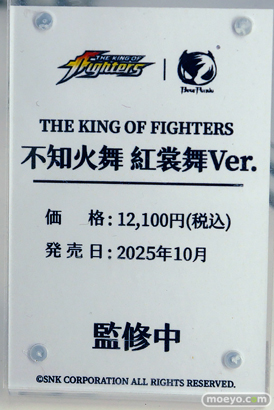 ワンダーフェスティバル2025 [夏]  フィギュア あみあみホビーキャンプ BearPanda 28