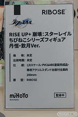 ワンダーフェスティバル2025 [夏]  フィギュア あみあみホビーキャンプ 共鳴GONG SSR FIGURE RIBOSE 18