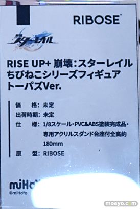 ワンダーフェスティバル2025 [夏]  フィギュア あみあみホビーキャンプ 共鳴GONG SSR FIGURE RIBOSE 20