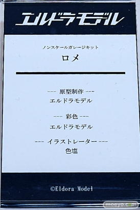 ワンダーフェスティバル2025 [夏]  フィギュア あみあみホビーキャンプ SIKI ANIM S-FIRE エルドラモデル 39