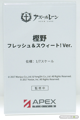 ワンダーフェスティバル2025 [夏]  フィギュア APEX TOYS  ストラスブール    13