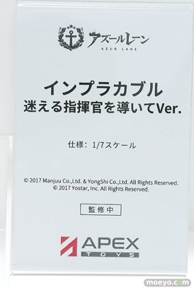 ワンダーフェスティバル2025 [夏]  フィギュア APEX TOYS  ストラスブール    22