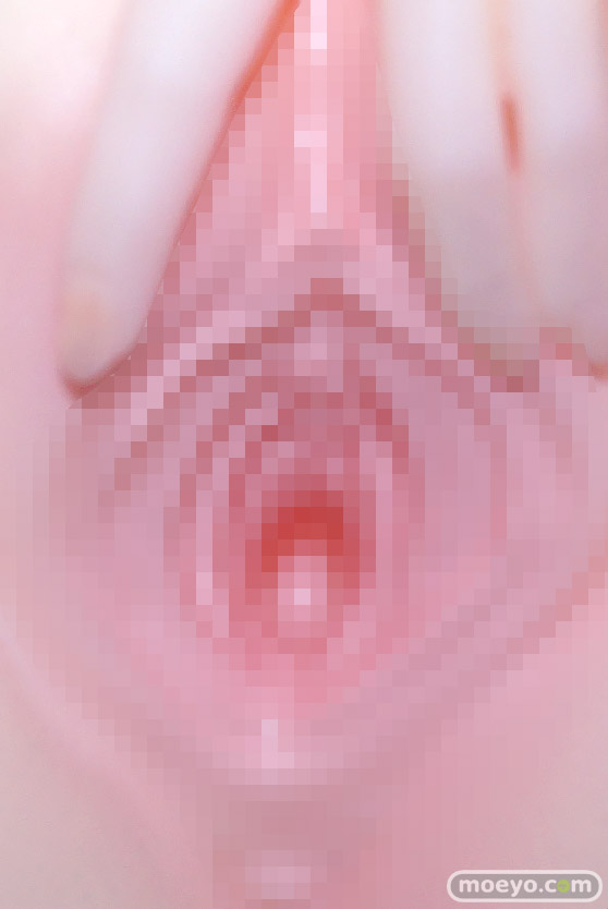 インサイト 肉感少女 女騎士を催●いいなり調教 ミレーユ ヅカ つきみや エロ フィギュア 製品版 29