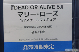 ワンダーフェスティバル2025 [夏]  フィギュア 海洋堂 マリー ほのか  04
