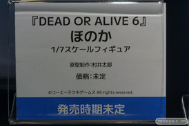ワンダーフェスティバル2025 [夏]  フィギュア 海洋堂 マリー ほのか  06