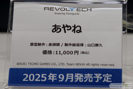 ワンダーフェスティバル2025 [夏]  フィギュア 海洋堂 マリー ほのか  20