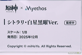 ワンダーフェスティバル2025 [夏]  フィギュア ADKエモーションズ シトラリ  18